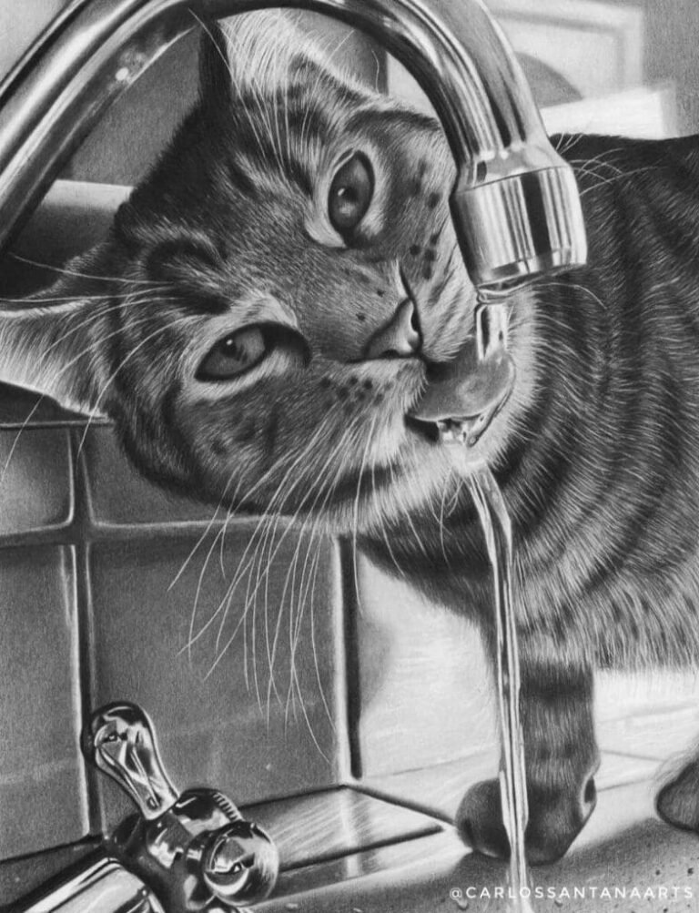 Drawing course